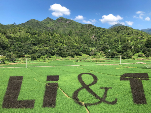 公司介绍
